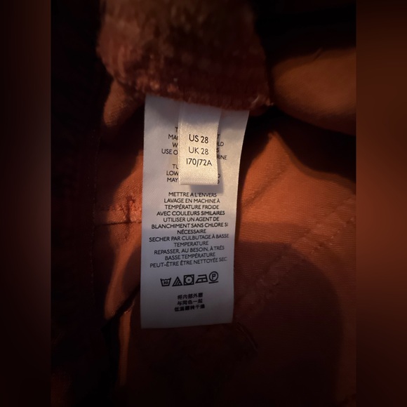 Anthropologie PILCRO The Wanderer Rust Velvet Embroidered Floral Pants Size 28 - Picture 8 of 9